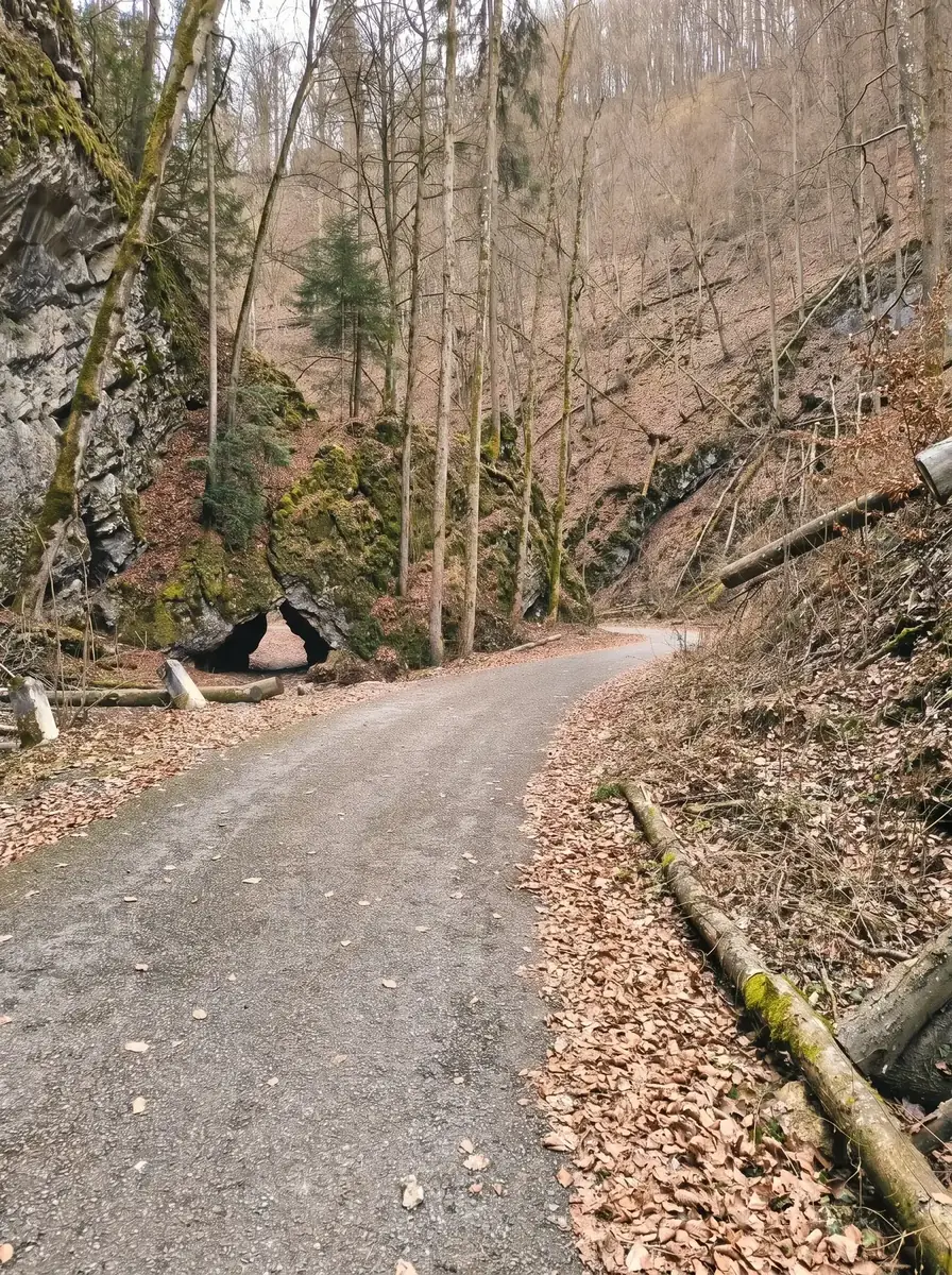Moravian Karst Canyon & Macocha Abyss — photo 1