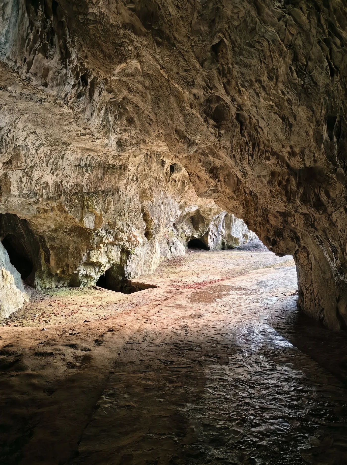 Moravian Karst Canyon & Macocha Abyss — photo 3