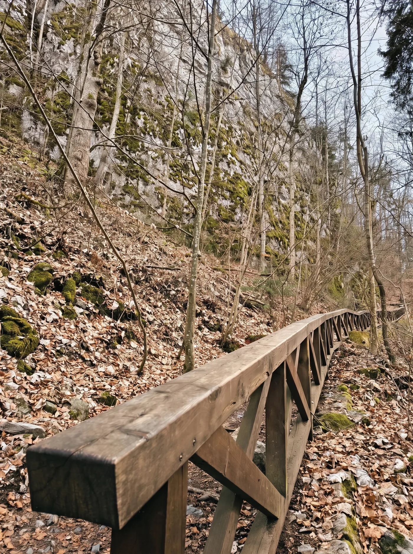Moravian Karst Canyon & Macocha Abyss — photo 4