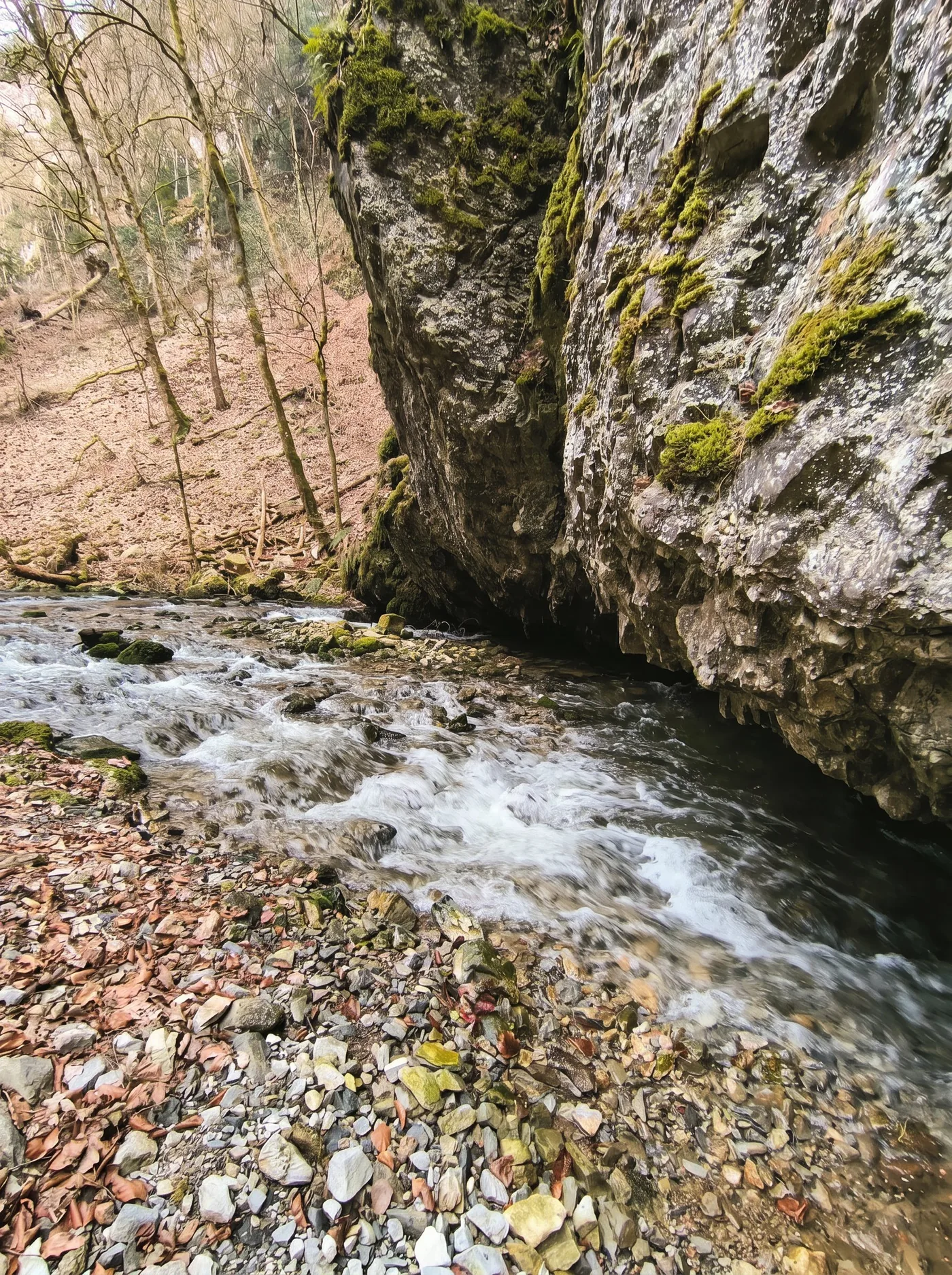 Moravian Karst Canyon & Macocha Abyss — photo 5